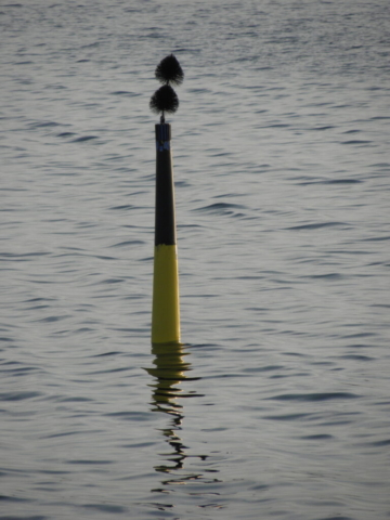 2012 - Nordbøje